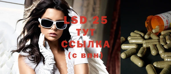 не бодяженный Щёлкино